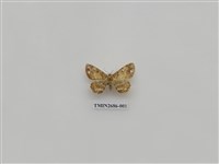 藏品(尺蛾231)的圖片